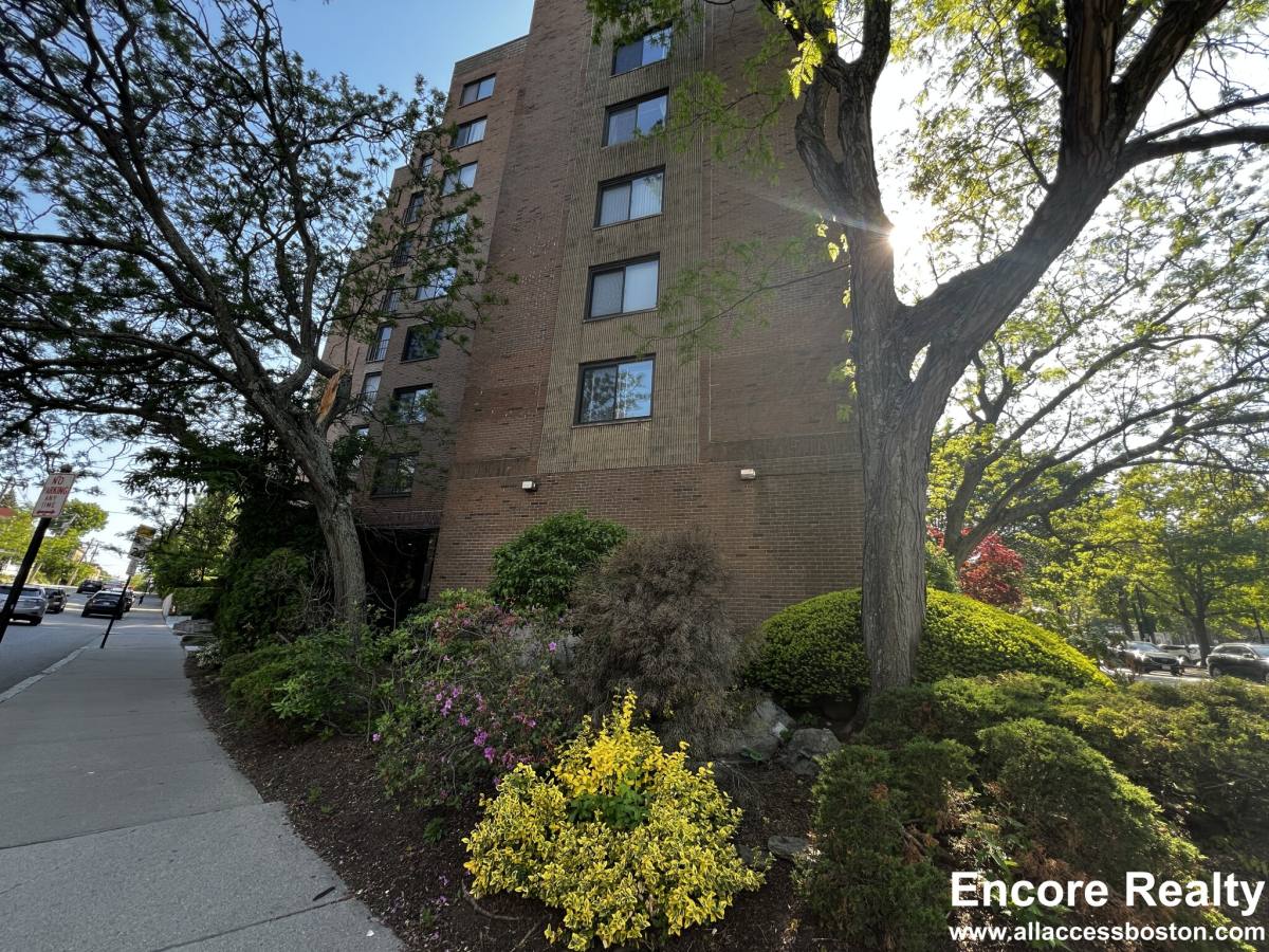 Apartment for rent at 1243 Beacon #3A, Brookline, MA 02446