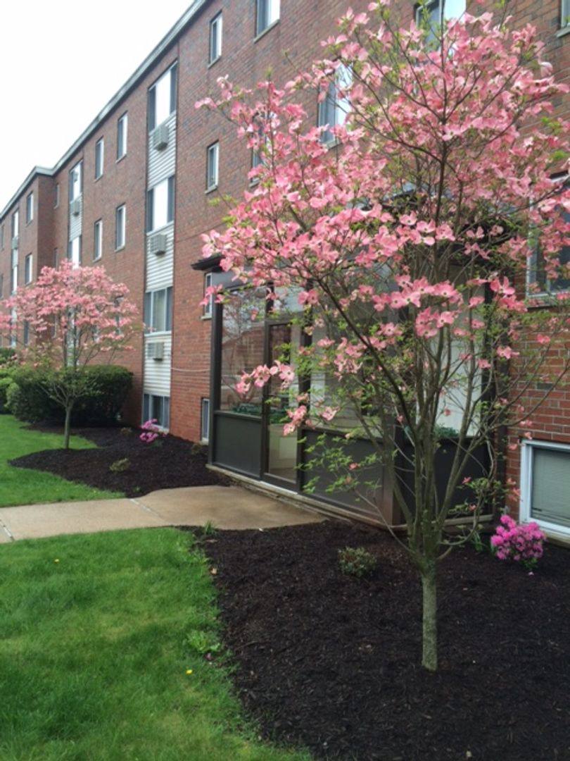 Apartment for rent at 45 Hawthorne St, Bristol, CT 06010