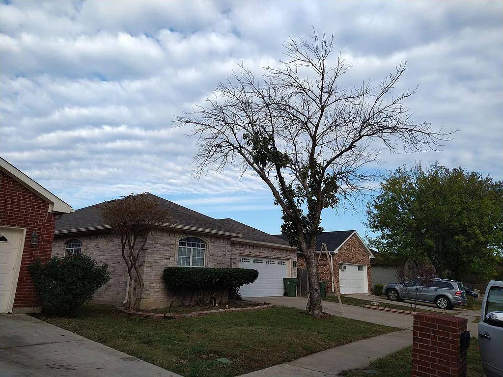 House for rent at 1923 Chandler Lane, Arlington, TX 76014