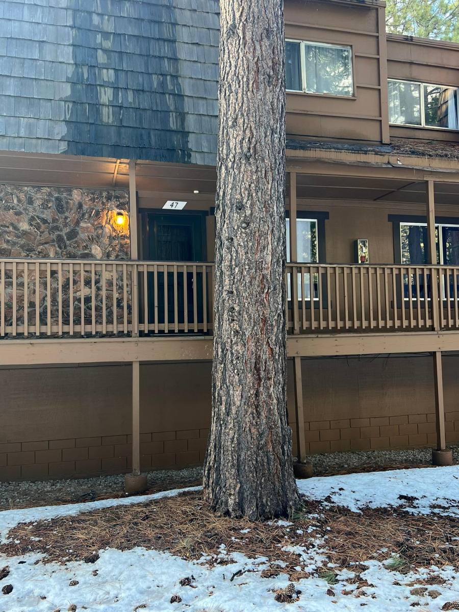 Condo for rent at Pioneer Homes, 1200 Wildwood Ave #47, South Lake Tahoe, CA 96150