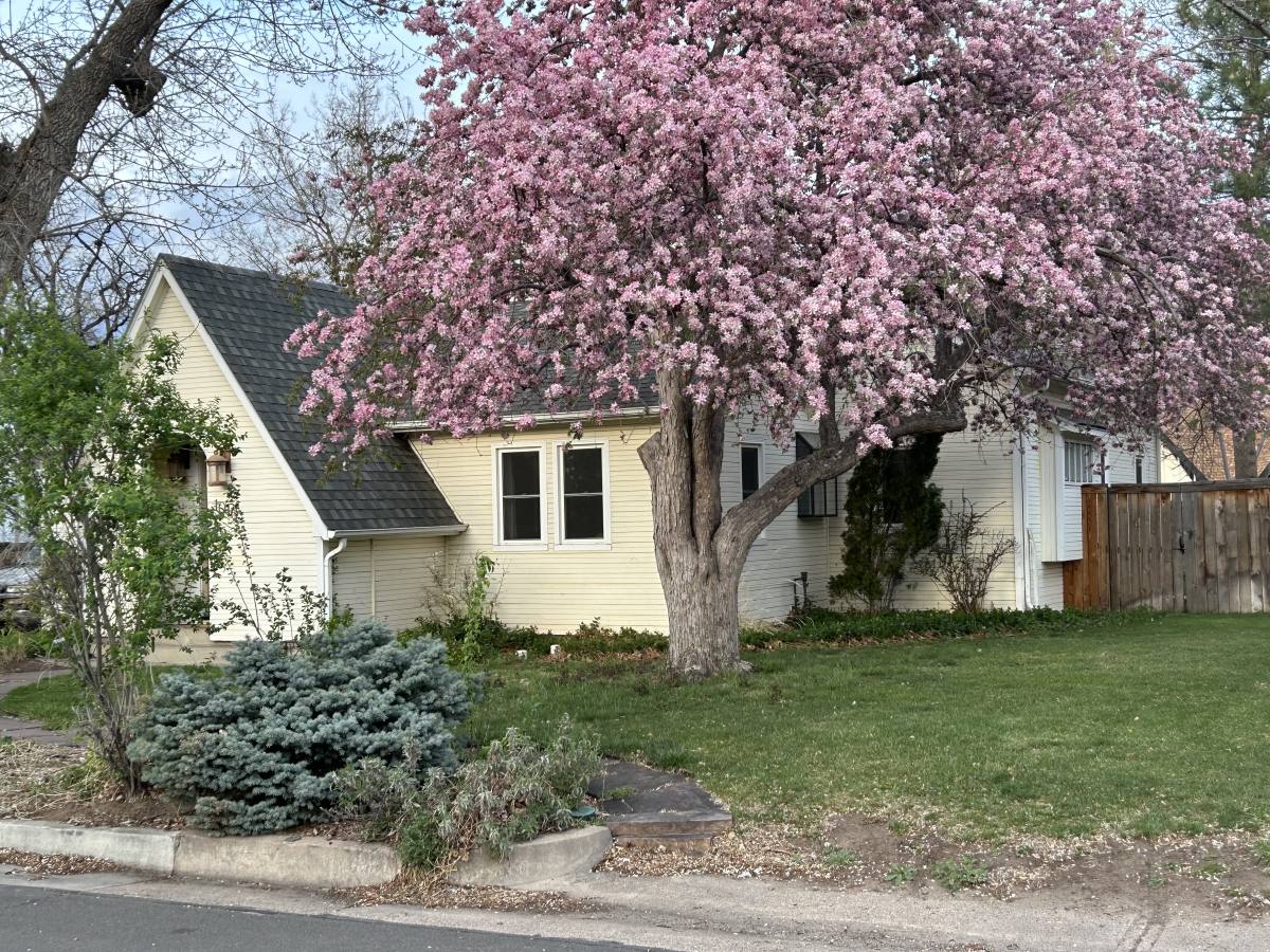 House for rent at 1010 Smith St, Fort Collins, CO 80524
