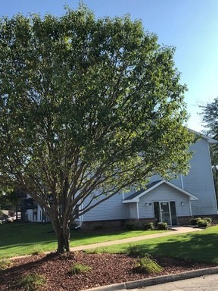 Apartment for rent at 395 4th St, Waukee, IA 50263