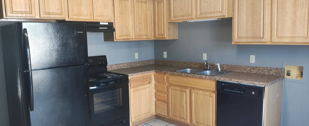 Apartment for rent at 1105 Bird Rd, Branson, MO 65616