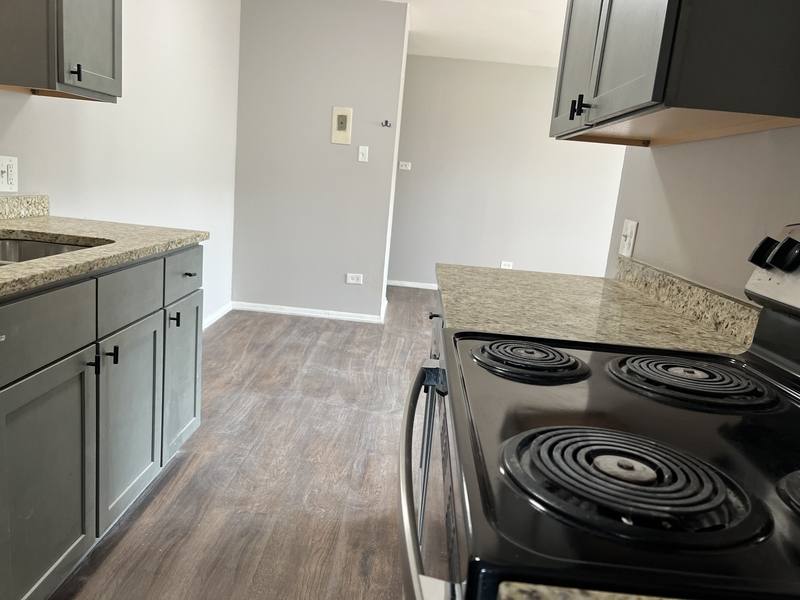 Apartment for rent at 3029 E 79th St #2B, Chicago, IL 60649