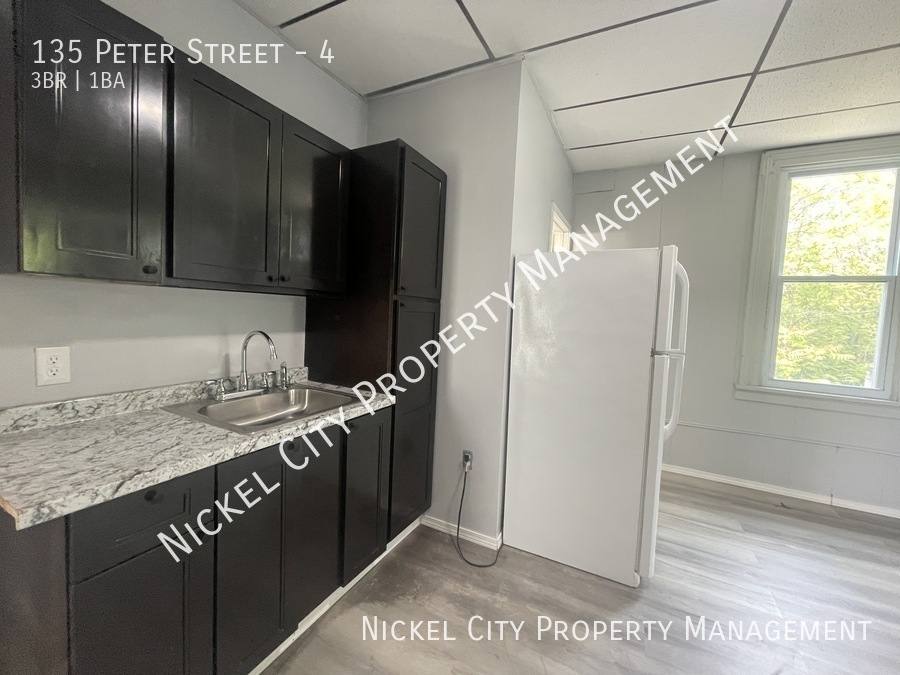 Apartment for rent at 135 Peter St #4, Buffalo, NY 14207