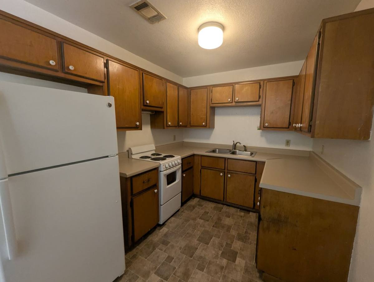 Apartment for rent at 65 Arnold Springs #4, Melbourne, AR 72556