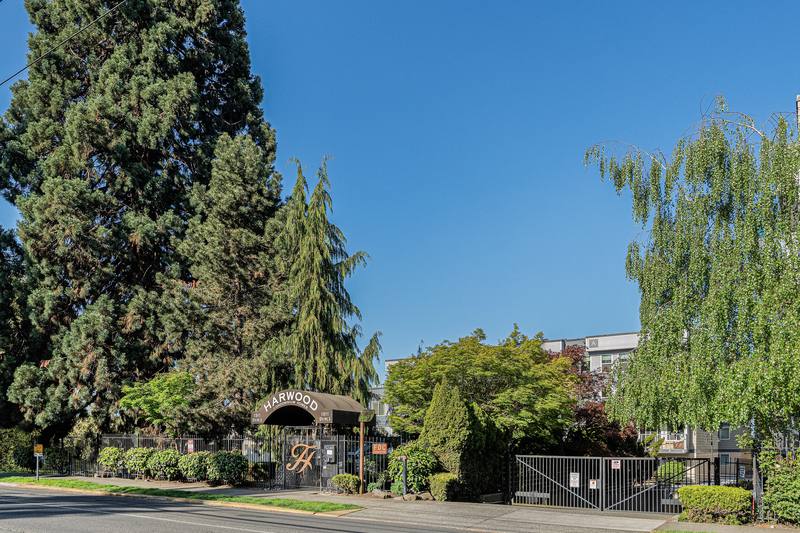 Condo for rent at 1311 12th Ave S #B102, Seattle, WA 98144