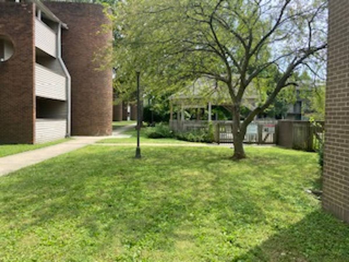 Apartment for rent at 500-510 E Michigan, Urbana, IL 61801
