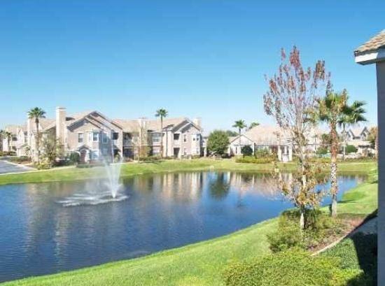 Townhouse for rent at The Villas Condominiums, 10413 Villa View Circle Ta #127161042, Tampa, FL 33647