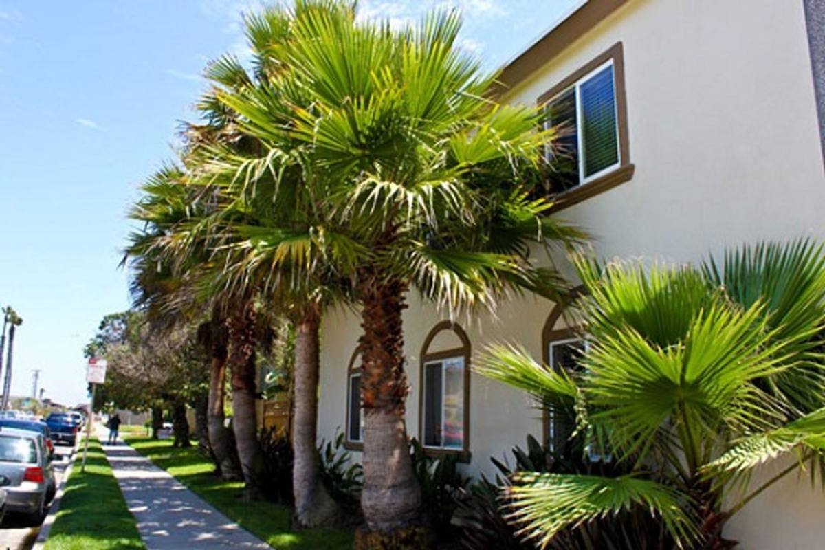 Apartment for rent at 100 Palm Ave, Imperial Beach, CA 91932