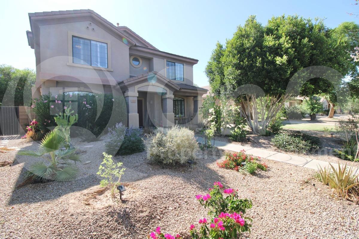 House for rent at 3538 S Cupertino Dr, Gilbert, AZ 85297