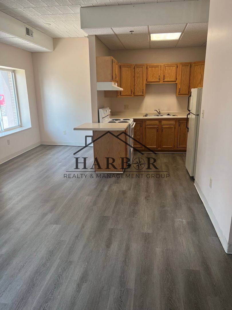 Apartment for rent at 1105 3rd St NW #101, Austin, MN 55912