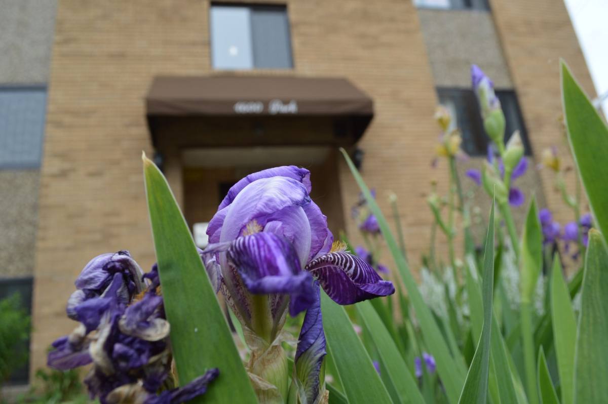Apartment for rent at 1600 Park Ave S, Minneapolis, MN 55404