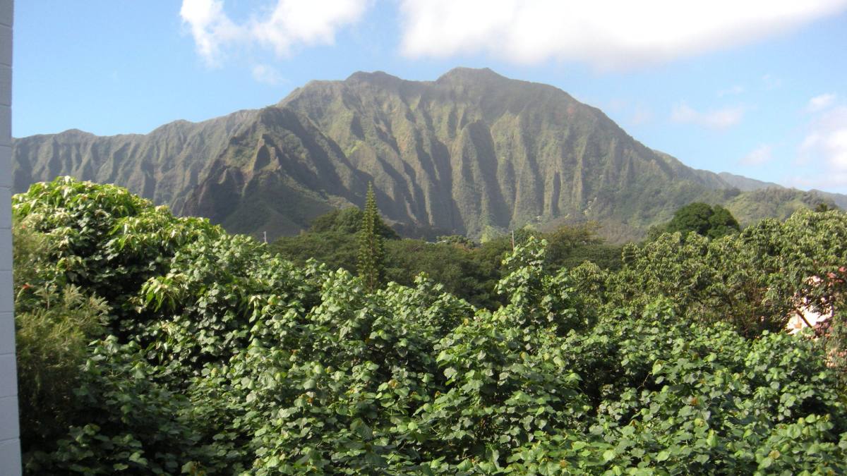 Apartment for rent at 46-271 Kahuhipa St, Kaneohe, HI 96744