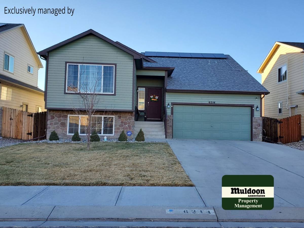 House for rent at 6214 Saddlebred Dr, Colorado Springs, CO 80925