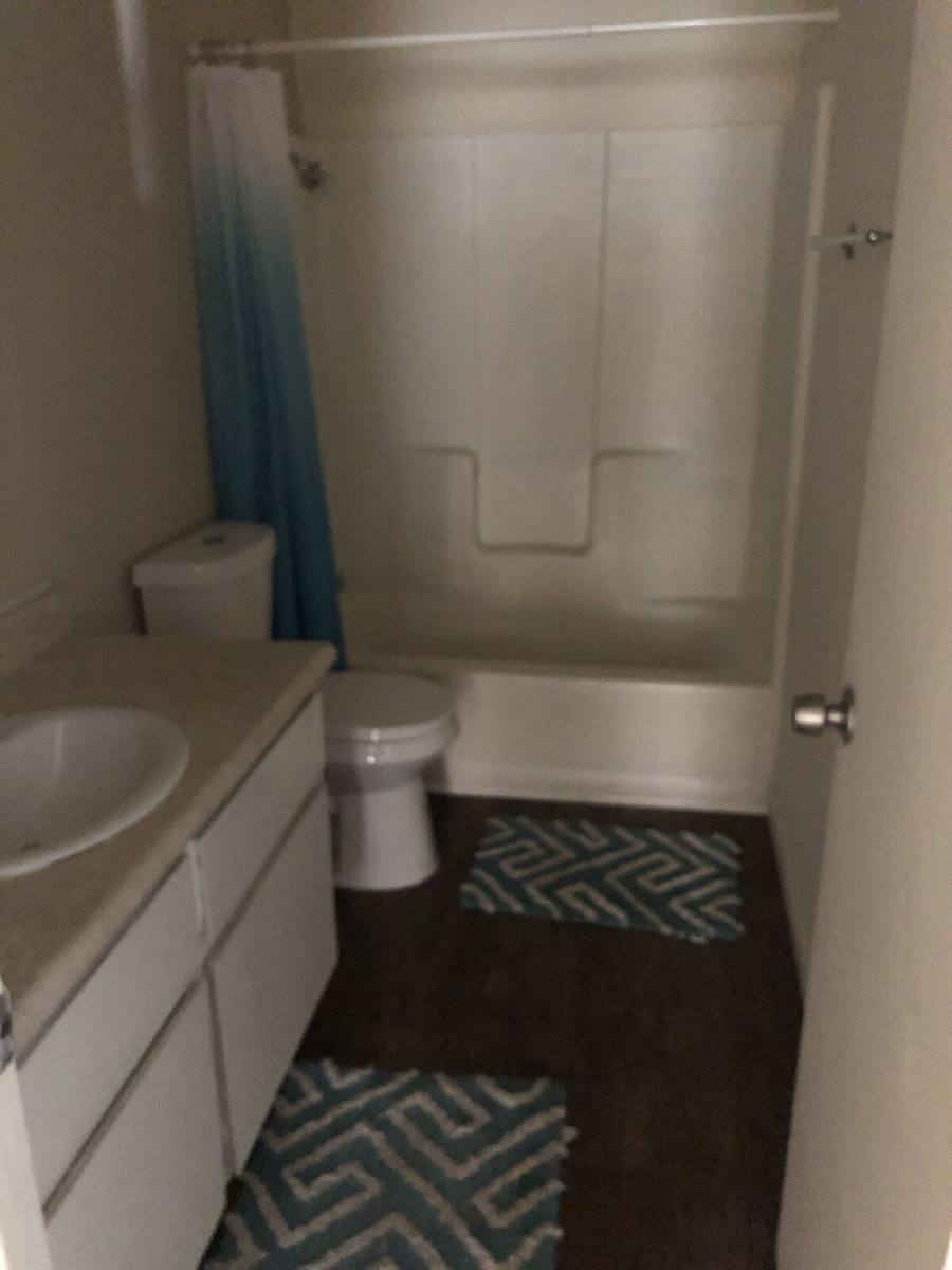 Apartment for rent at 18202 N Cave Creek Rd #229, Phoenix, AZ 85032