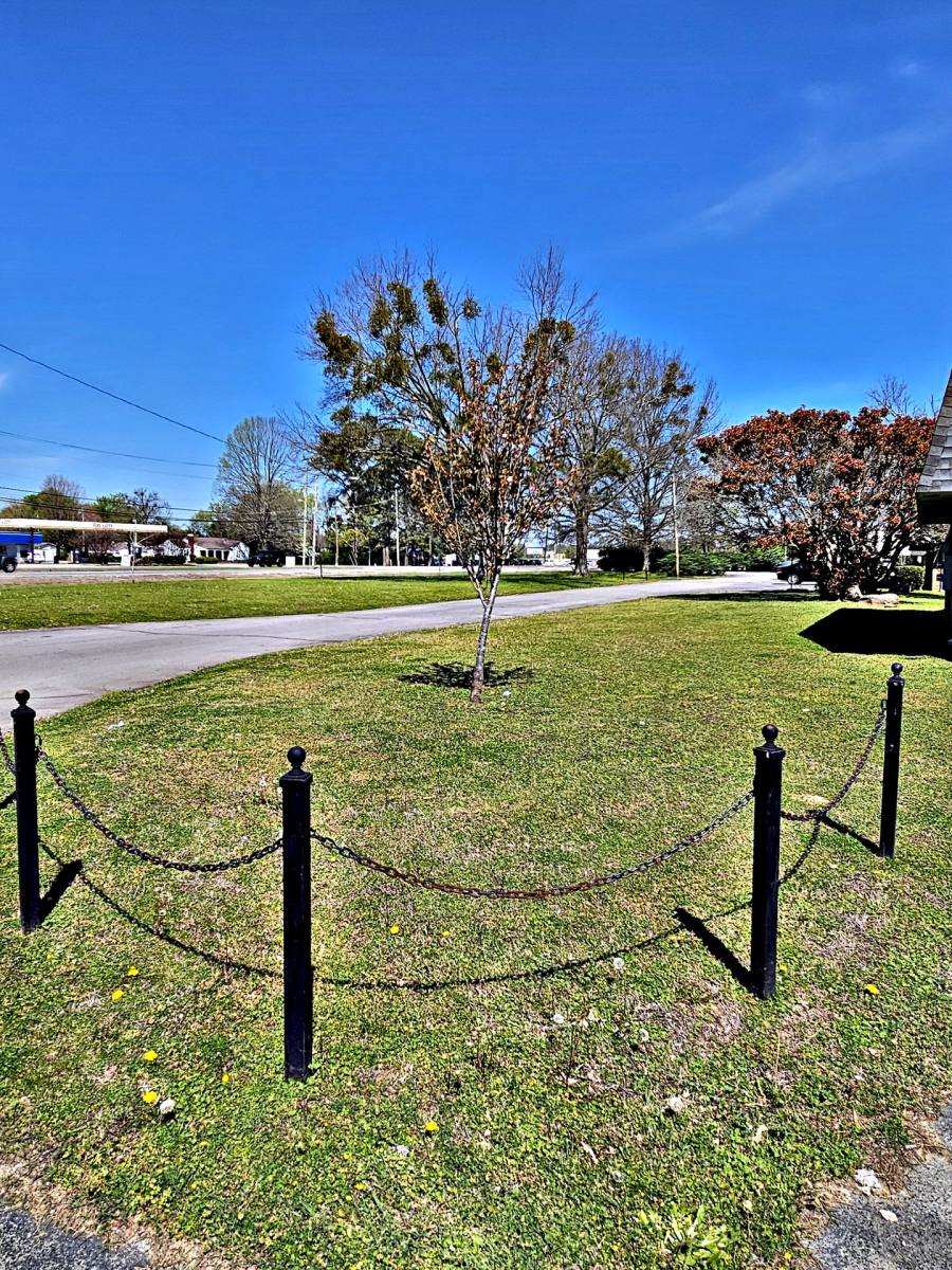 Townhouse for rent at 3526 Highway 31 S, Decatur, AL 35603