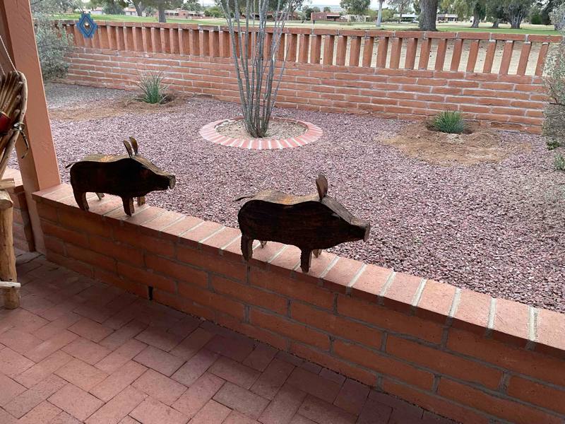 House for rent at 257 E Los Rincones, Green Valley, AZ 85614