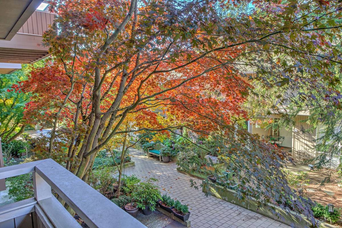 Condo for rent at 832 100th Ave NE, Bellevue, WA 98004