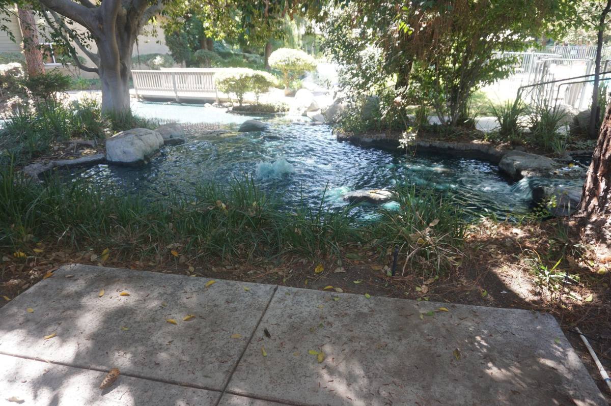 Apartment for rent at 4900 E Chapman Ave, Orange, CA 92869