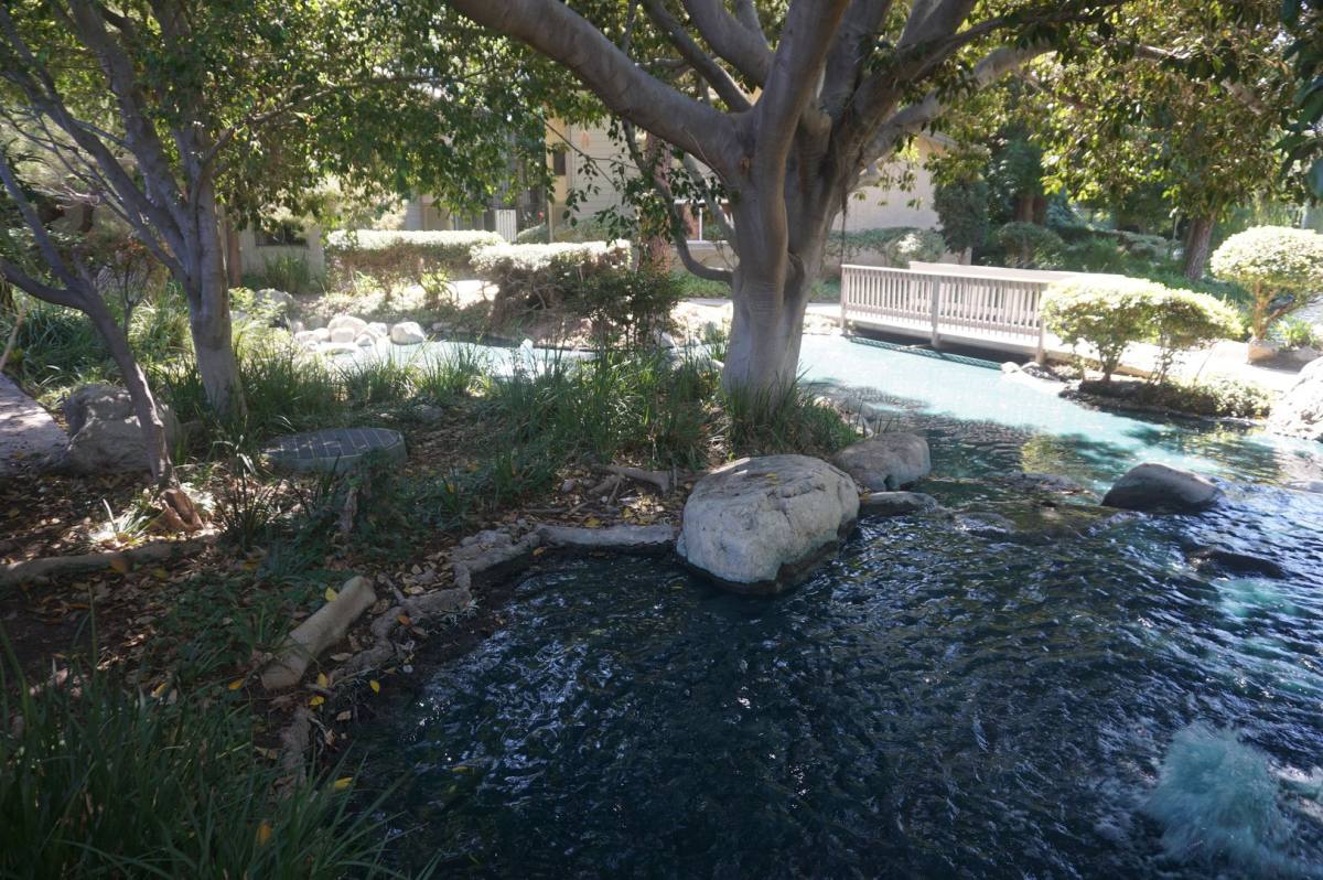 Apartment for rent at 4900 E Chapman Ave, Orange, CA 92869