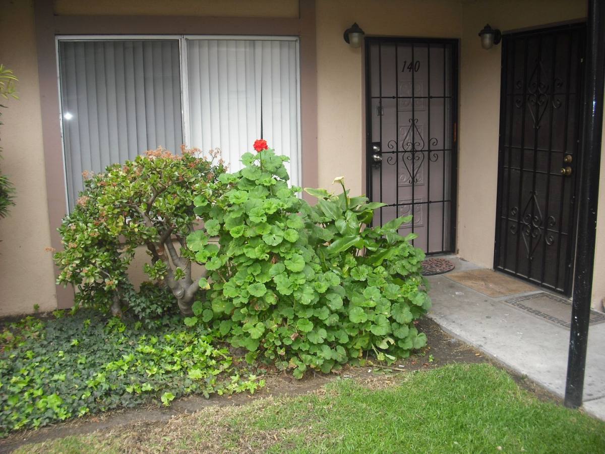 Condo for rent at 1920 N H St, Oxnard, CA 93036