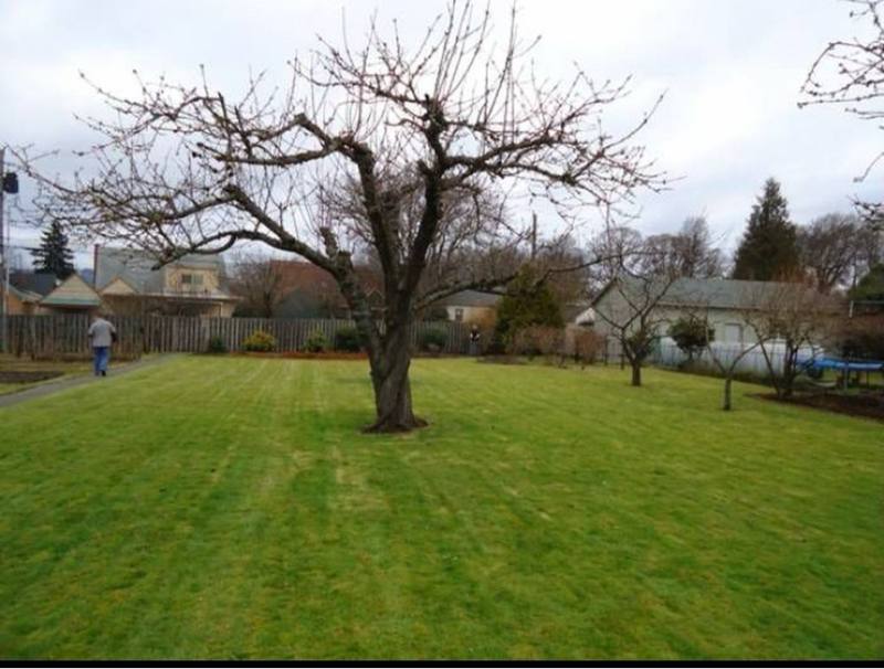 House for rent at 2652 Fir St, Longview, WA 98632