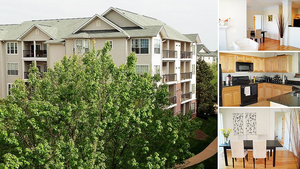 Apartment for rent at 1600 Spring Gate Dr, McLean, VA 22102
