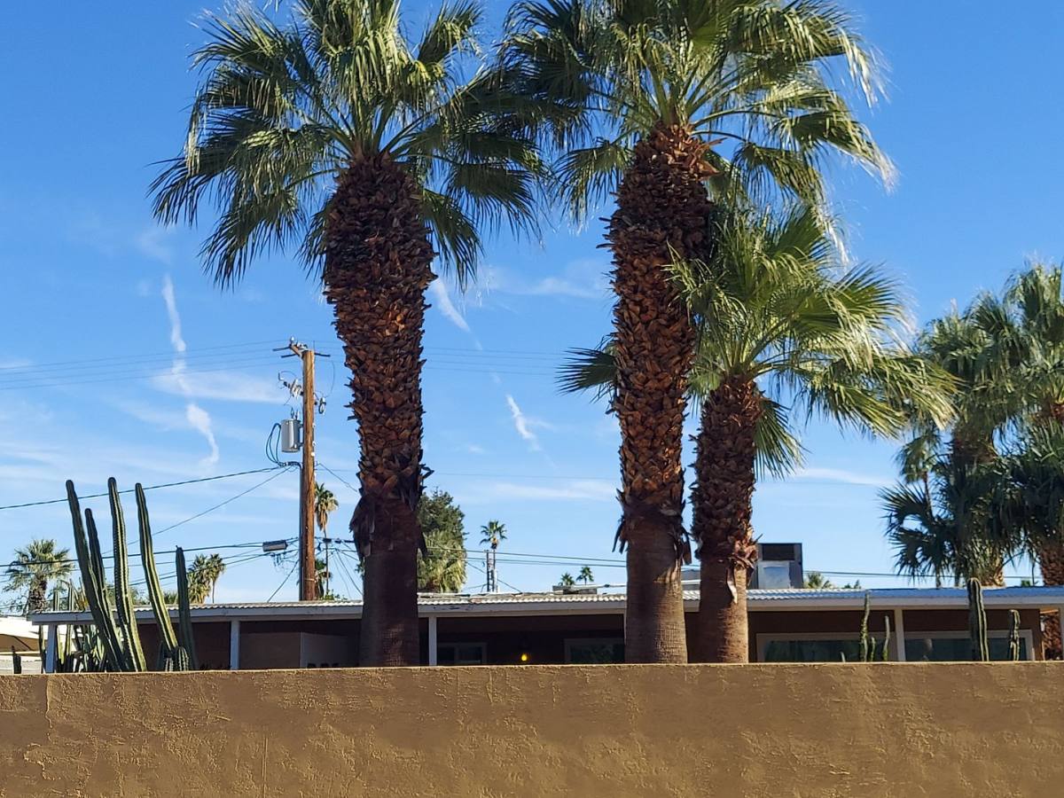 Apartment for rent at 540-570 S Highland Dr, Palm Springs, CA 92264