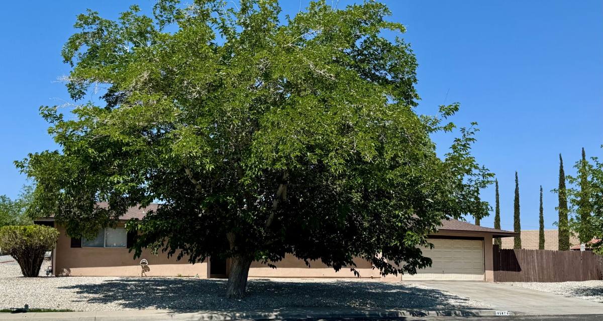 House for rent at 15870 La Paz Court, Victorville, CA 92395