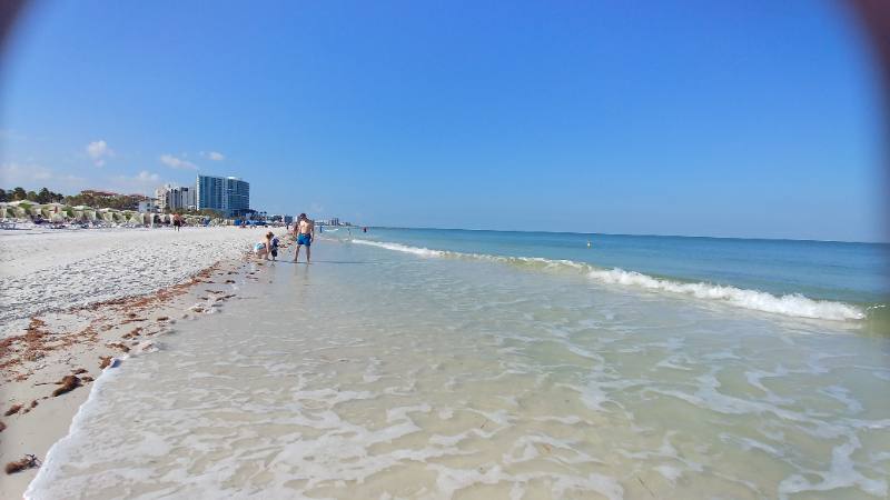 Condo for rent at 2N Fernwood Ave #24, Clearwater, FL 33765