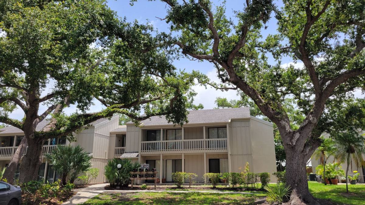 Condo for rent at 2224 Bahia Vista St, Sarasota, FL 34239