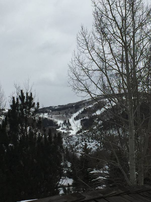 Apartment for rent at 338 Hackamore Rd #A-2, Edwards, CO 81632