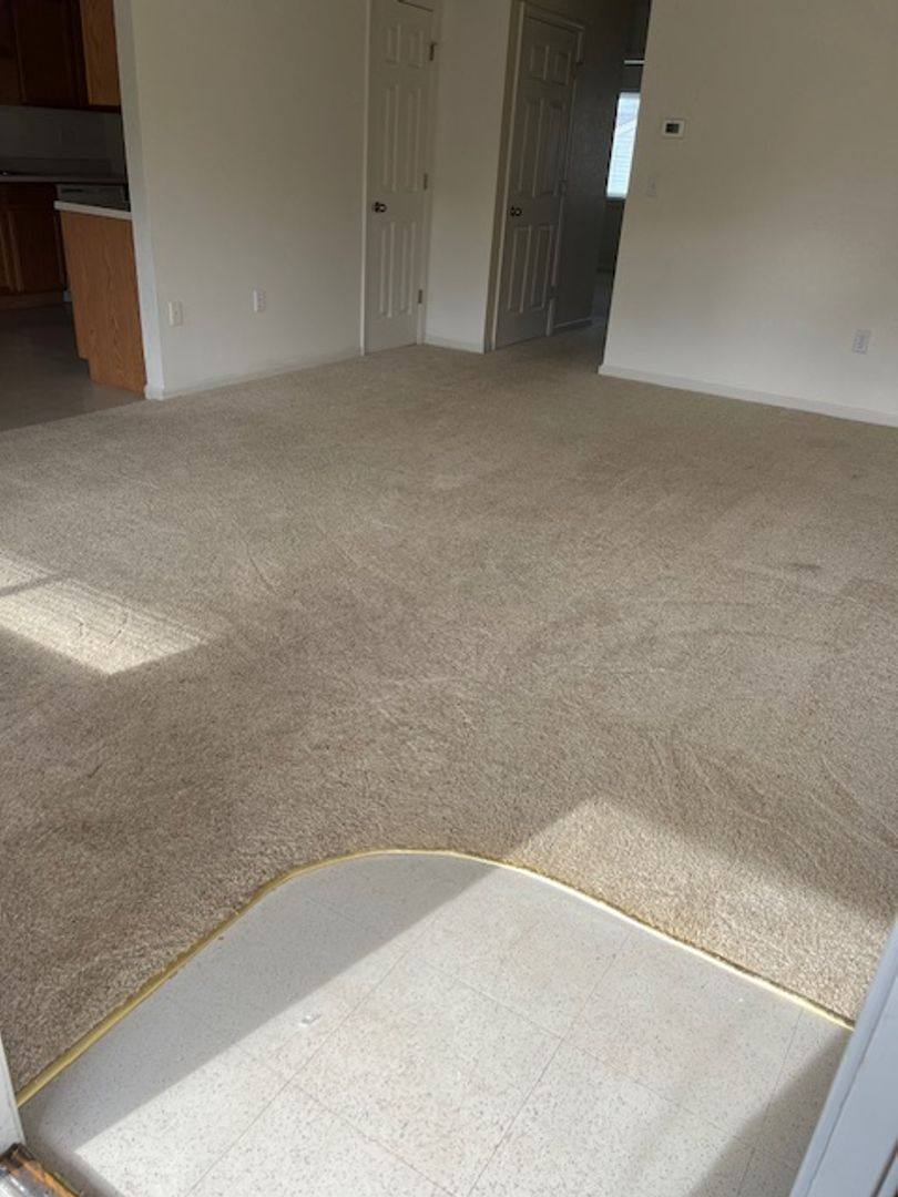 Apartment for rent at 631 Scottsvale Dr, Rolla, MO 65401
