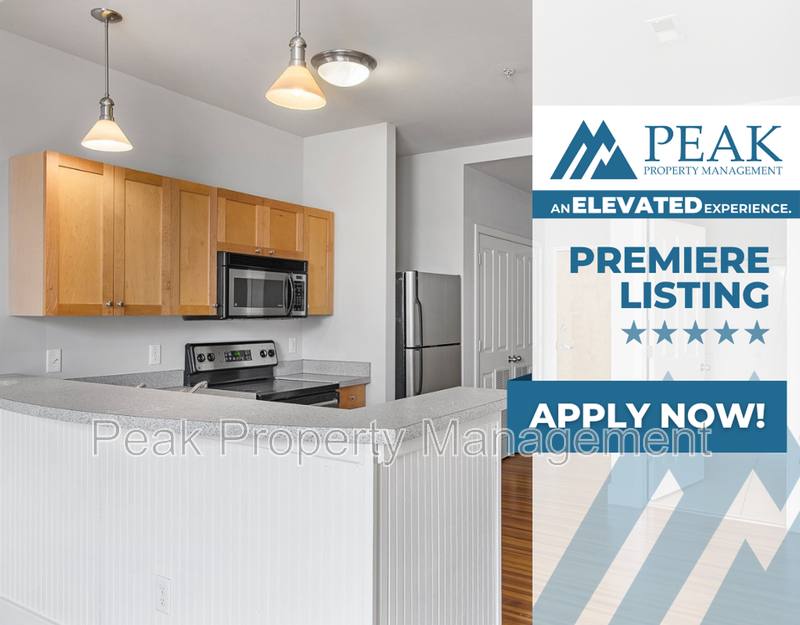 Apartment for rent at 220 E Marshall St #B, Richmond, VA 23219