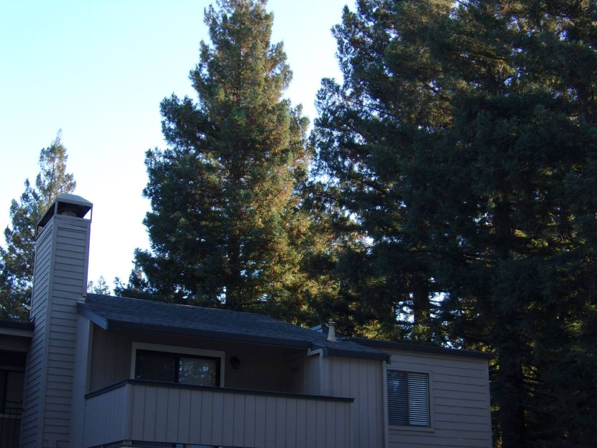 Apartment for rent at 7134 Gloria Dr, Sacramento, CA 95831