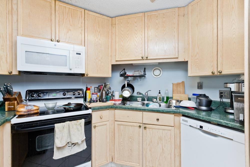 Condo for rent at 195 N Harbor, Chicago, IL 60601