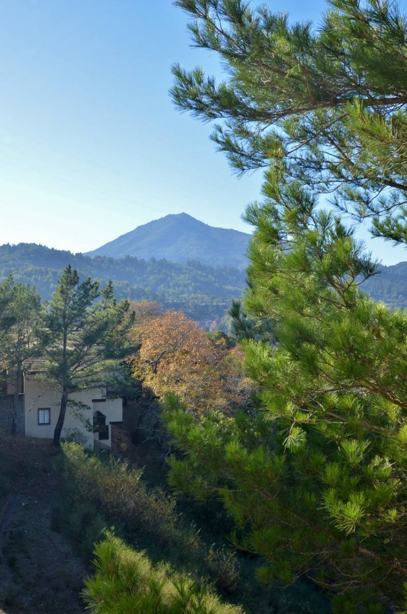 Condo for rent at 614 Via Casitas, Greenbrae, CA 94904