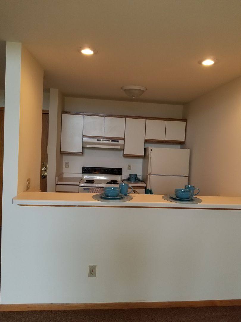 Apartment for rent at 1617 Troy Dr #205, Madison, WI 53704