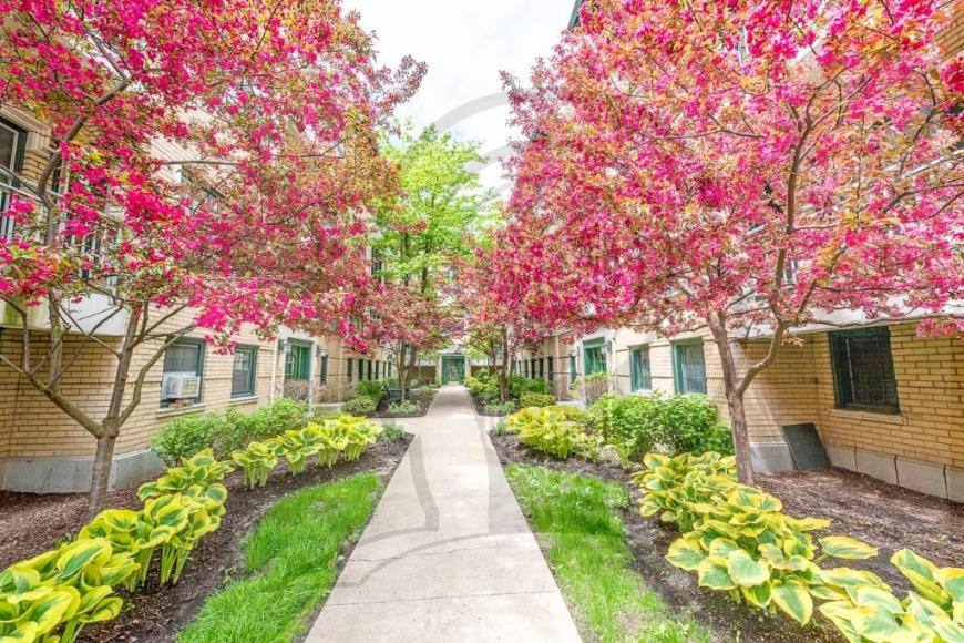 Condo for rent at 4314 N Clarendon Ave #1411, Chicago, IL 60613
