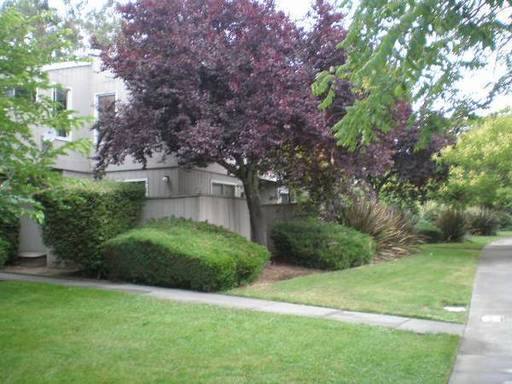 Apartment for rent at 2035 Mount Olive Dr, Santa Rosa, CA 95404