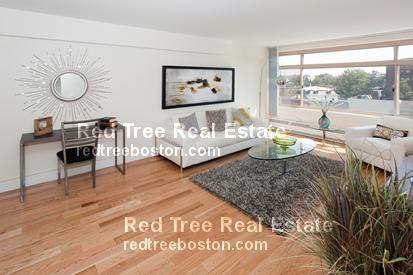 Apartment for rent at 1440 Beacon St #116, Brookline, MA 02446
