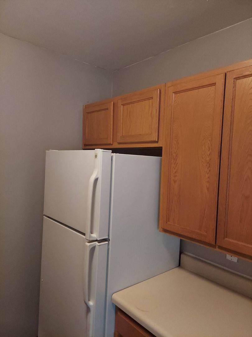 Apartment for rent at 360 Prospect St, Laingsburg, MI 48848