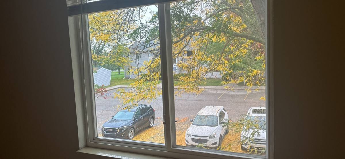 Apartment for rent at 360 Prospect St, Laingsburg, MI 48848