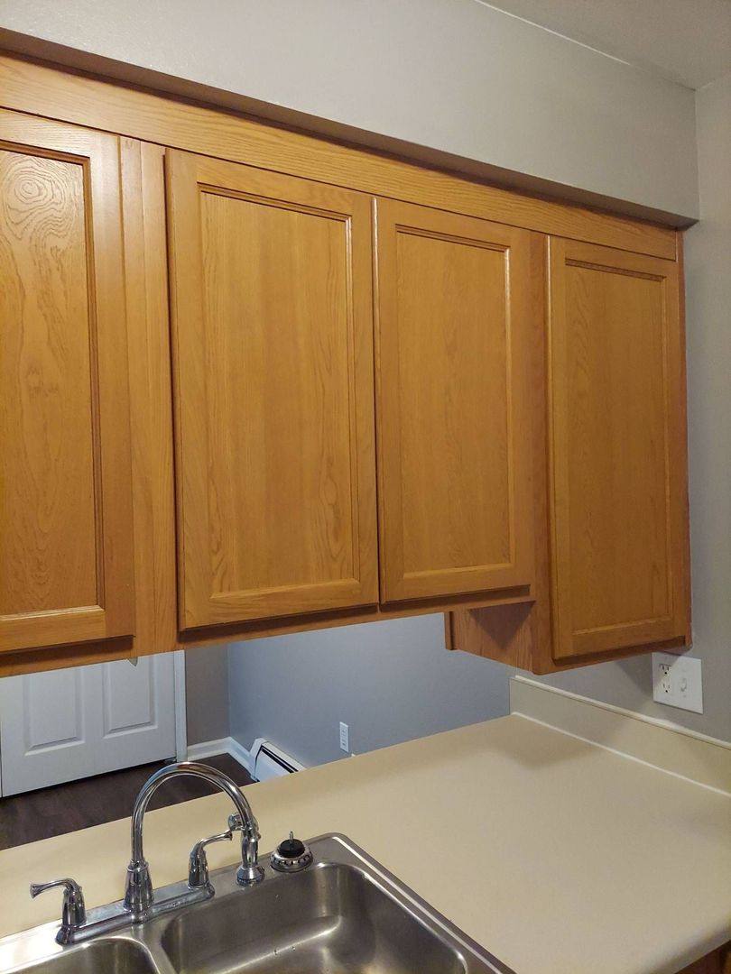 Apartment for rent at 360 Prospect St, Laingsburg, MI 48848