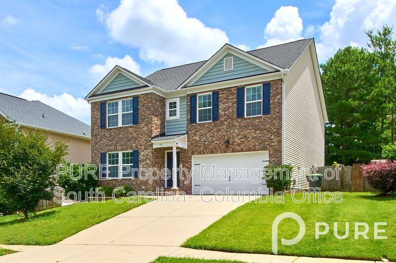 House for rent at 165 Palm St, Chapin, SC 29036