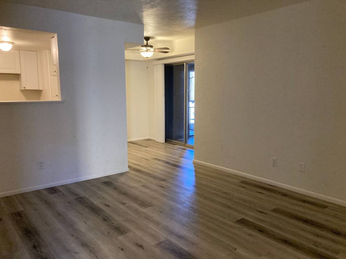 Condo for rent at 1620 N Wilmot Rd, Tucson, AZ 85712