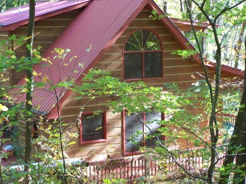 House for rent at 4 Granny Hughes Rd, Mineral Bluff, GA 30559