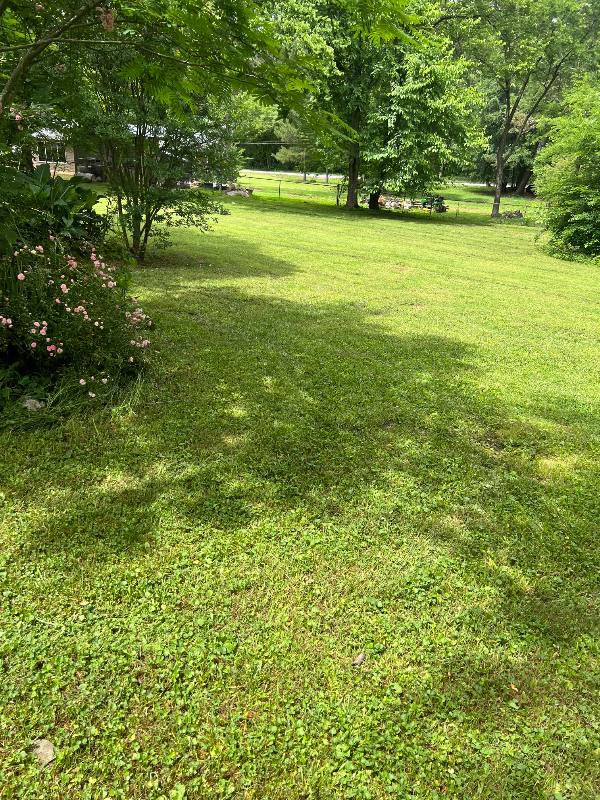 House for rent at 215 Wilson St, Calhoun, GA 30701