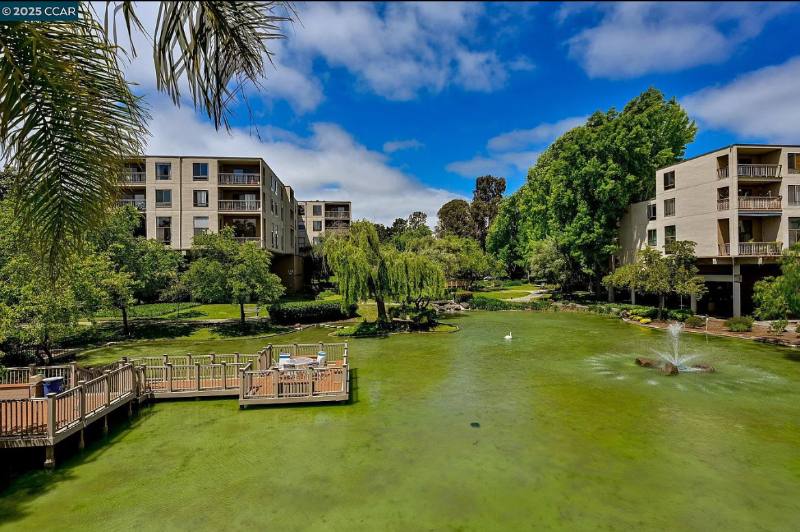 Apartment for rent at 410 Civic Dr, Walnut Creek, CA 94596
